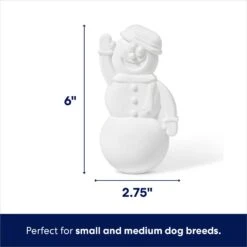 Frisco Nylon Snowman Dog Chew Toy, Mint Flavor -Frisco 368820 PT1. AC SS1800 V1694812399