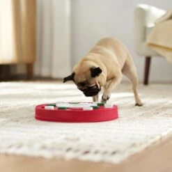 Frisco Bento Interactive Puzzle Dog Toy, Moderate 14 Frisco Bento Interactive Puzzle Dog Toy, Moderate -Frisco 506226 PT5. AC SS1800 V1674664929