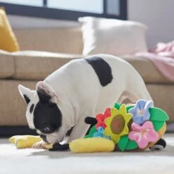 Frisco Spring Wheelbarrow Hide And Seek Puzzle Plush Squeaky Dog Toy 12 Frisco Spring Wheelbarrow Hide And Seek Puzzle Plush Squeaky Dog Toy -Frisco 541510 PT4. AC SS1800 V1702500565