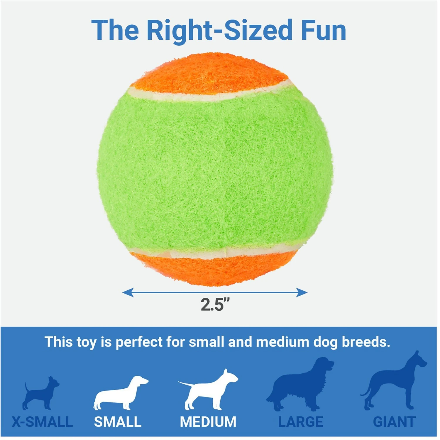 Frisco Dumbbell TPR Fetch Dog Toy + 3 Items 9 Frisco Dumbbell TPR Fetch Dog Toy + 3 Items - Image 7