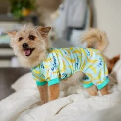 Frisco Go Bananas Dog & Cat Jersey PJs 12 Frisco Go Bananas Dog & Cat Jersey PJs -Frisco 608998 PT6. AC SS1800 V1676642341