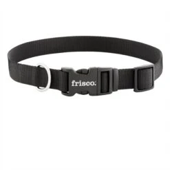 Frisco Solid Nylon Dog Leash + 4 Items 16 Frisco Solid Nylon Dog Leash + 4 Items -Frisco 623766 PT5. AC SS1800 V1662735841