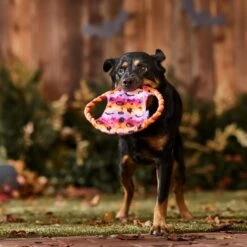 Frisco Halloween Ghost Swirl Fetch Flyer Dog Toy 8 Frisco Halloween Ghost Swirl Fetch Flyer Dog Toy -Frisco 668294 PT3. AC SS1800 V1689278363