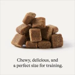 Frisco Giant Charcoal Dog Training & Potty Pads & American Journey Beef Recipe Grain-Free Soft & Chewy Training Bits Dog Treats -Frisco 678566 PT7. AC SS1800 V1681825758