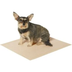 Frisco Large Eco-Conscious Dog Training & Potty Pads & American Journey Peanut Butter Recipe Grain-Free Oven Baked Crunchy Biscuit Dog Treats -Frisco 678574 PT3. AC SS1800 V1667863365