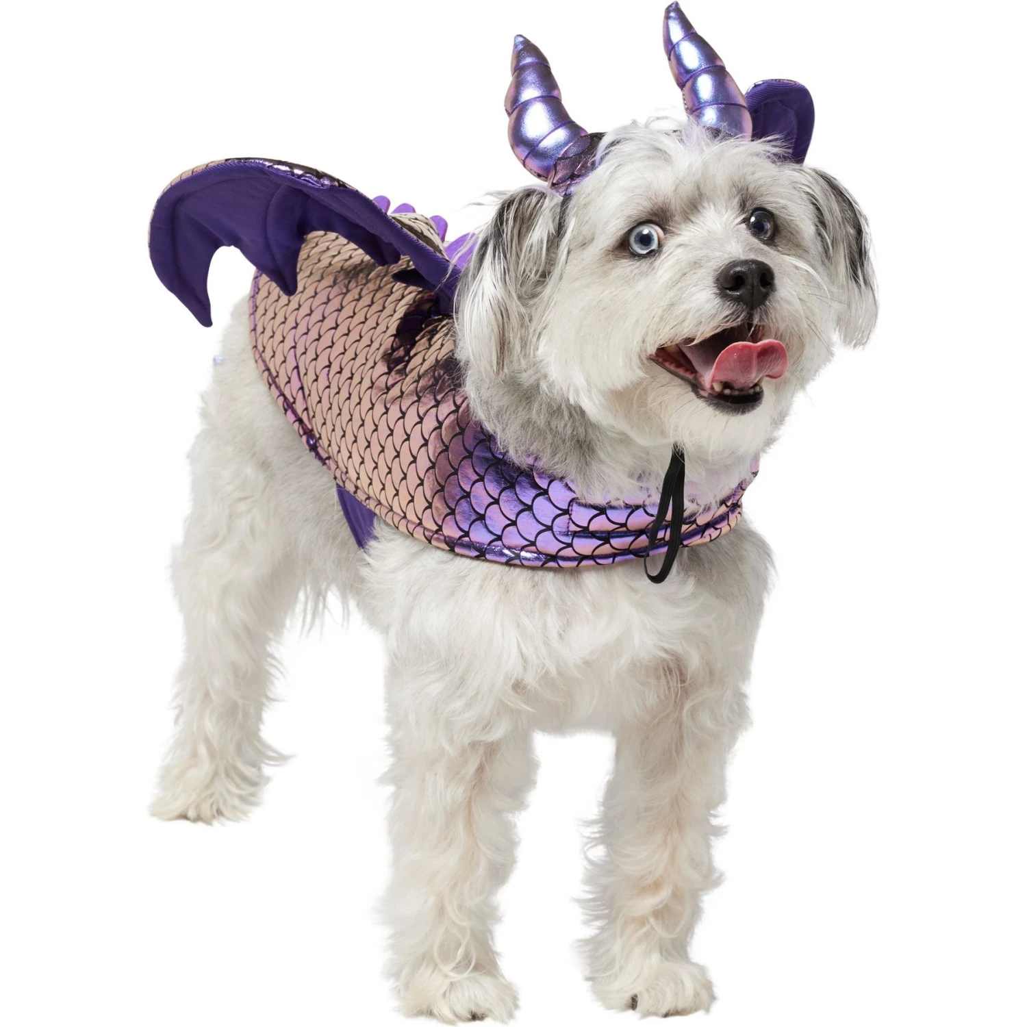 Frisco Dragon Dog & Cat Costume Accessory 3 Frisco Dragon Dog & Cat Costume Accessory