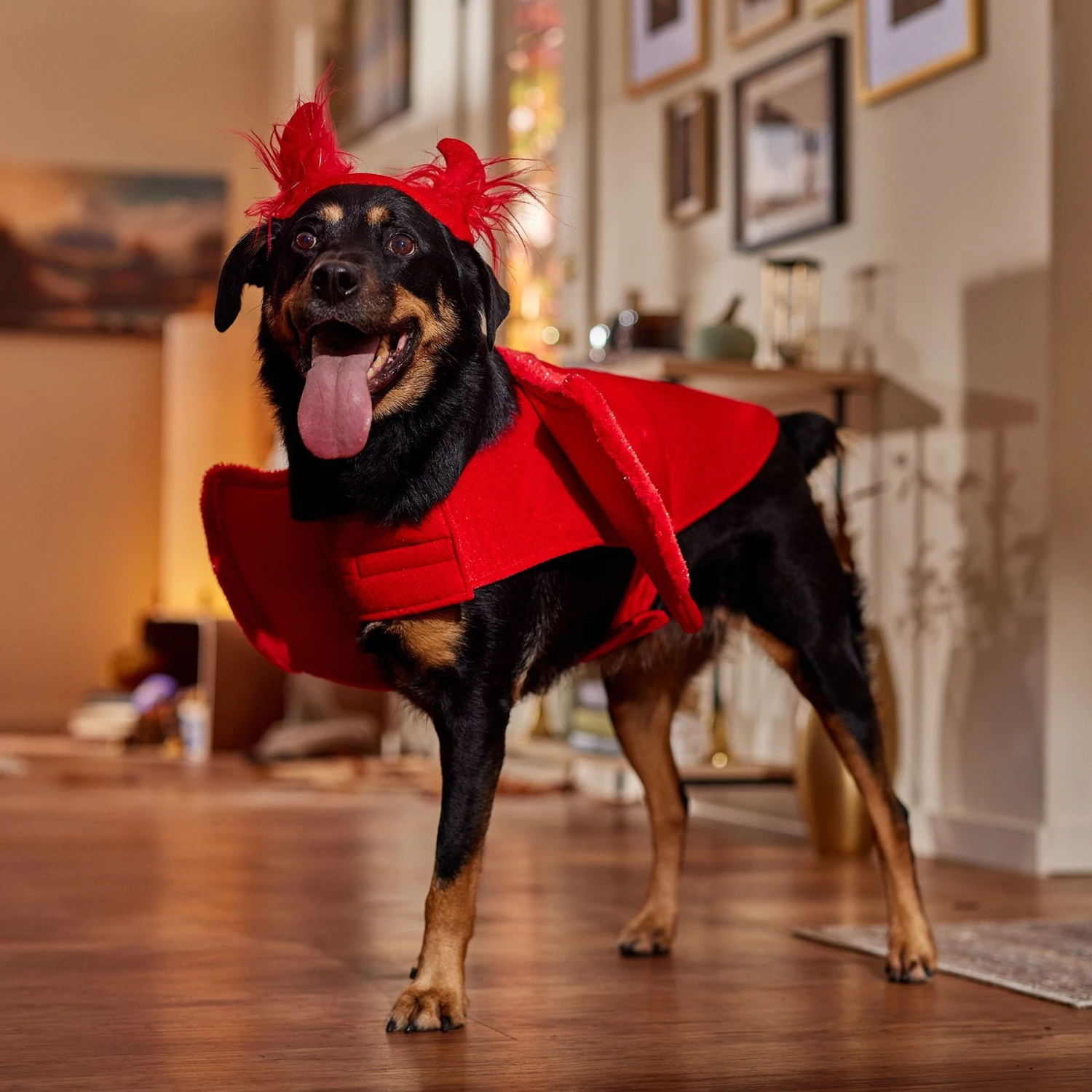 Frisco My Little Devil Dog & Cat Costume Accessory 9 Frisco My Little Devil Dog & Cat Costume Accessory - Image 7