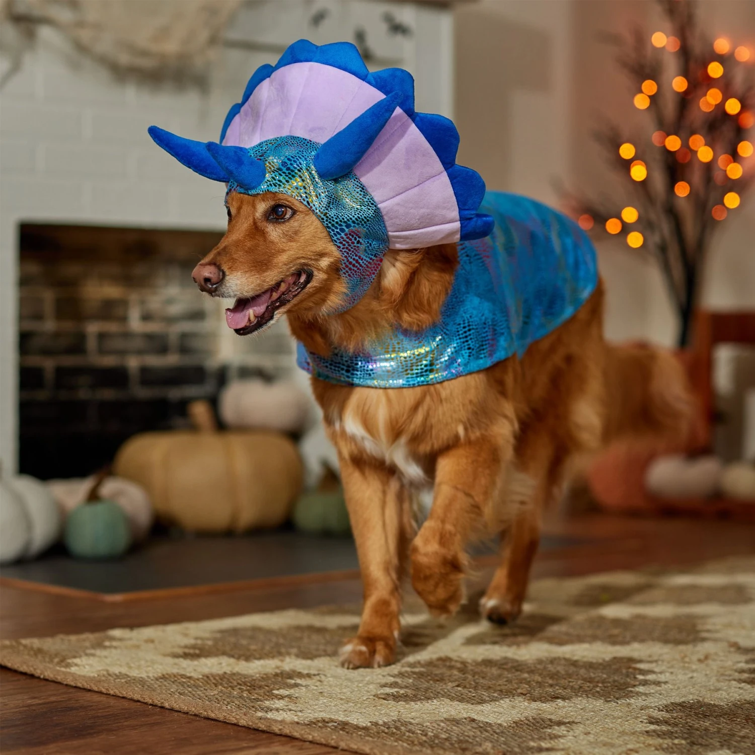 Frisco Dinosaur Dog & Cat Costume 8 Frisco Dinosaur Dog & Cat Costume - Image 6