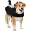 Frisco Faux Fur Skunk Dog & Cat Costume 1 Frisco Faux Fur Skunk Dog & Cat Costume -Frisco 708078 MAIN. AC SS1800 V1689350100