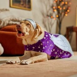 Frisco Shooting Stars Dog & Cat Costume 16 Frisco Shooting Stars Dog & Cat Costume -Frisco 708614 PT7. AC SS1800 V1689278699