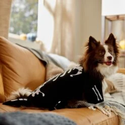 Frisco Glow In The Dark Skeleton Dog & Cat Costume 16 Frisco Glow In The Dark Skeleton Dog & Cat Costume -Frisco 709038 PT7. AC SS1800 V1689350988