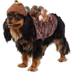 New Release 1 Frisco Squirrels & Nuts Ride-On Dog & Cat Costume
