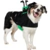 Frisco Witch Cauldron Ride-On Dog & Cat Costume 2 Frisco Witch Cauldron Ride-On Dog & Cat Costume -Frisco 709494 MAIN. AC SS1800 V1689270917