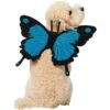 Frisco Magical Butterfly Wings Dog & Cat Costume Accessory -Frisco 713062 MAIN. AC SS1800 V1689271325