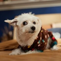 Frisco Cozy Plush Fleece Dog & Cat PJs, Mushrooms -Frisco 718950 PT7. AC SS1800 V1692378098