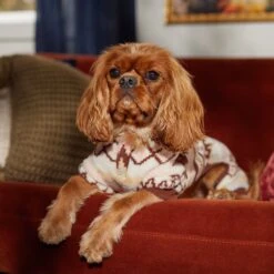 Frisco Fairisle Cozy Plush Fleece Dog & Cat PJs, Cream 16 Frisco Fairisle Cozy Plush Fleece Dog & Cat PJs, Cream -Frisco 719006 PT7. AC SS1800 V1692376367