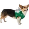 Frisco Ornament Dog & Cat Costume 1 Frisco Ornament Dog & Cat Costume -Frisco 745510 MAIN. AC SS1800 V1694800749