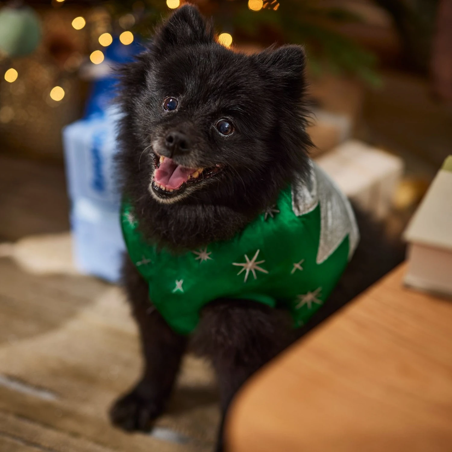 Frisco Ornament Dog & Cat Costume 8 Frisco Ornament Dog & Cat Costume - Image 7