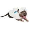 Frisco Polar Bear Ride-On Dog Costume 1 Frisco Polar Bear Ride-On Dog Costume -Frisco 747046 MAIN. AC SS1800 V1694813783