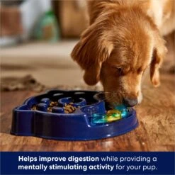 Frisco Interactive Dog Slow Feeder Bowl 10 Frisco Interactive Dog Slow Feeder Bowl -Frisco 761238 PT2. AC SS1800 V1696254583