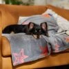 Frisco Plush Cat & Dog Throw Blanket 1 Frisco Plush Cat & Dog Throw Blanket -Frisco 816702 MAIN. AC SS1800 V1701117014