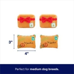 Frisco Holiday House Hide & Seek Puzzle Plush Squeaky Dog Toy & Frisco Holiday North Pole Mailbox Hide & Seek Puzzle Plush Squeaky Dog Toy -Frisco 986286 PT7. AC SS1800 V1698258056