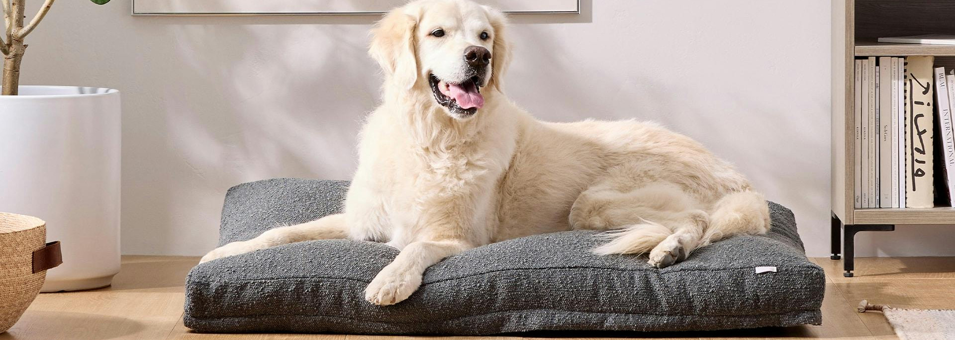 Frisco 1 Frisco -Frisco 1