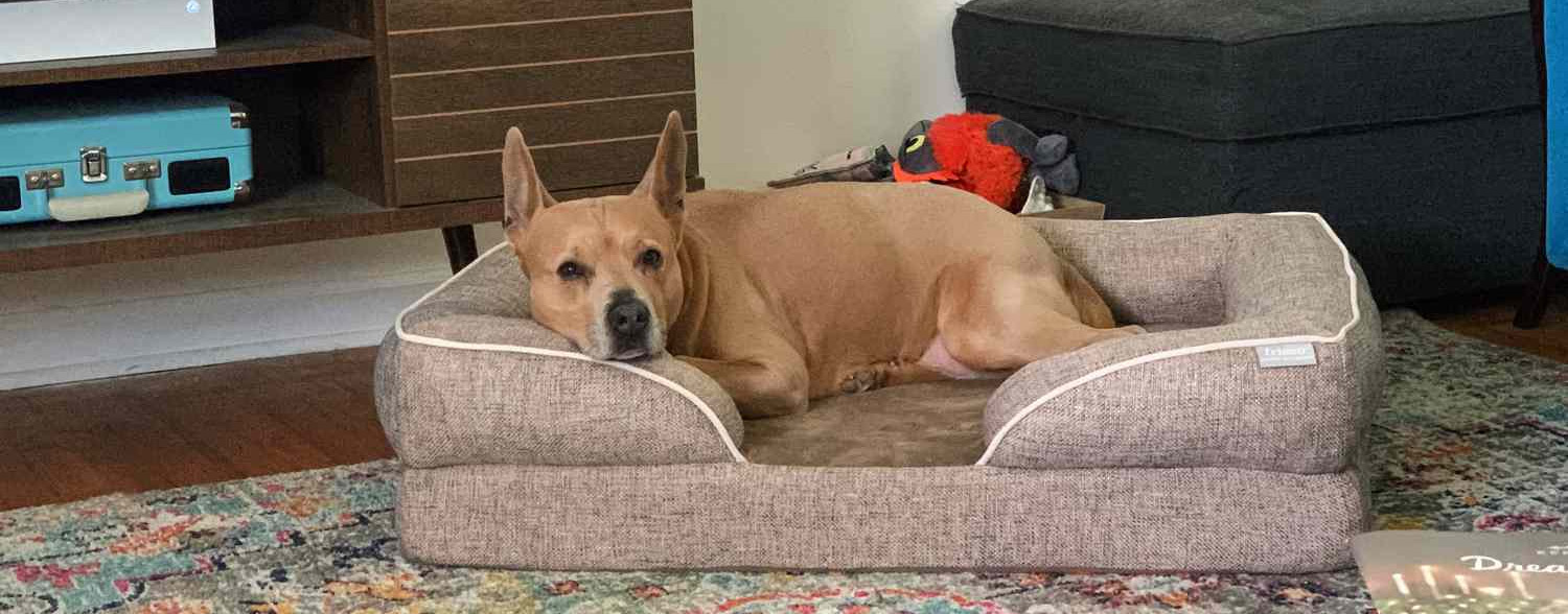 Frisco 3 Frisco -Frisco 2